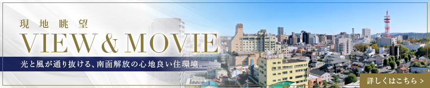 「VIEW&MOVIE」