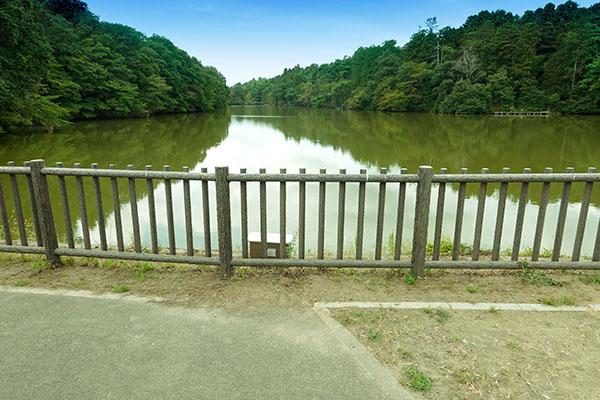 ウォーキングや釣りも楽しめる「与兵衛沼公園」（約1280ｍ・徒歩16分）