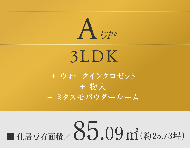 Atype 3LDK
＋ウォークインクロゼット
＋物入
＋ミタスモパウダールーム