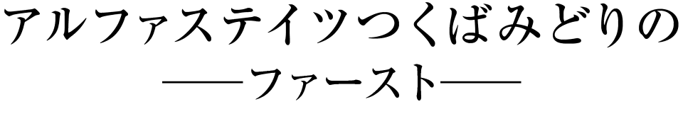 アルファステイツつくばみどりの-ファースト-