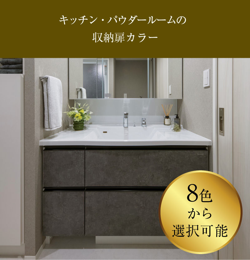 キッチン・パウダールームの収納扉カラー