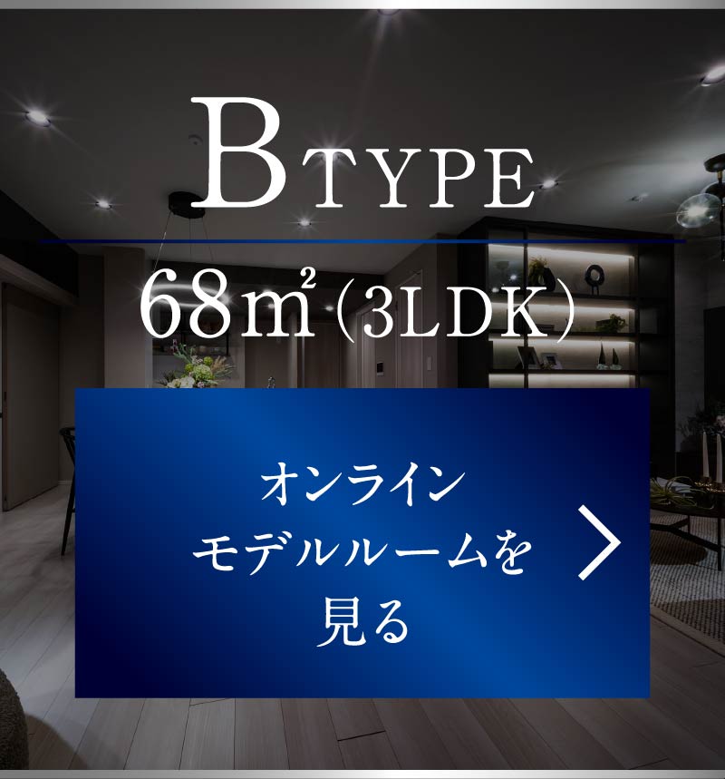 Bタイプ