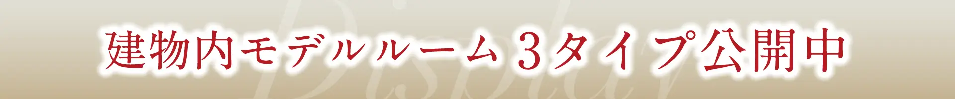 建物内モデルルーム3タイプ公開中