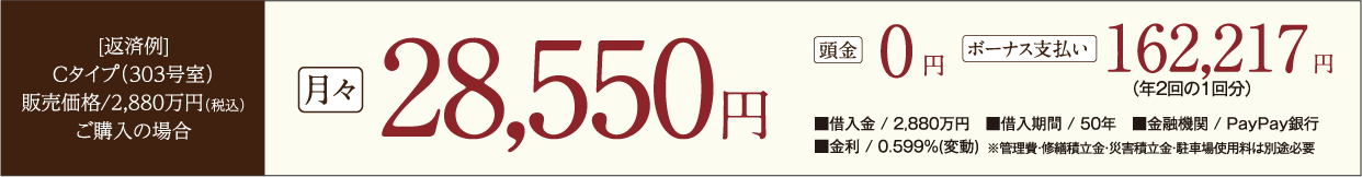 typeC支払い例