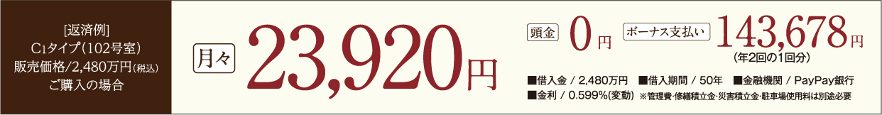 typeC支払い例