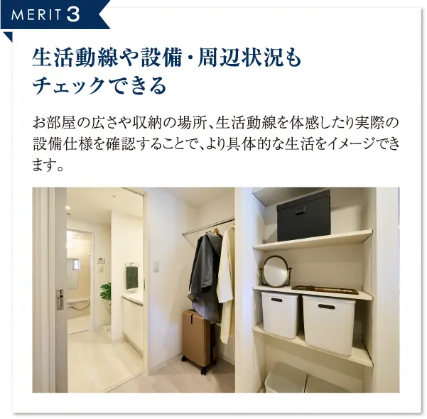 MERIT3