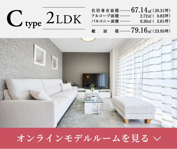 Cタイプ