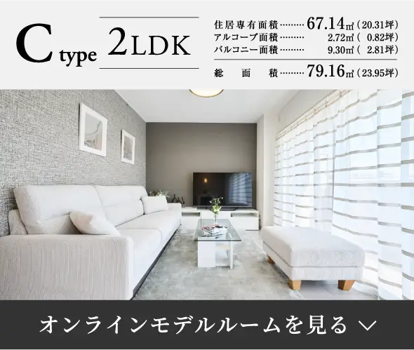 Cタイプ
