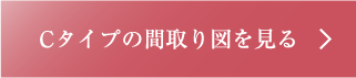 Cタイプ