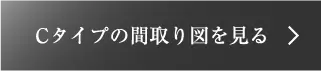 Cタイプ
