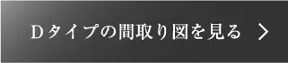 Dタイプ