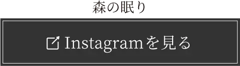 INSTAGRAMを見る